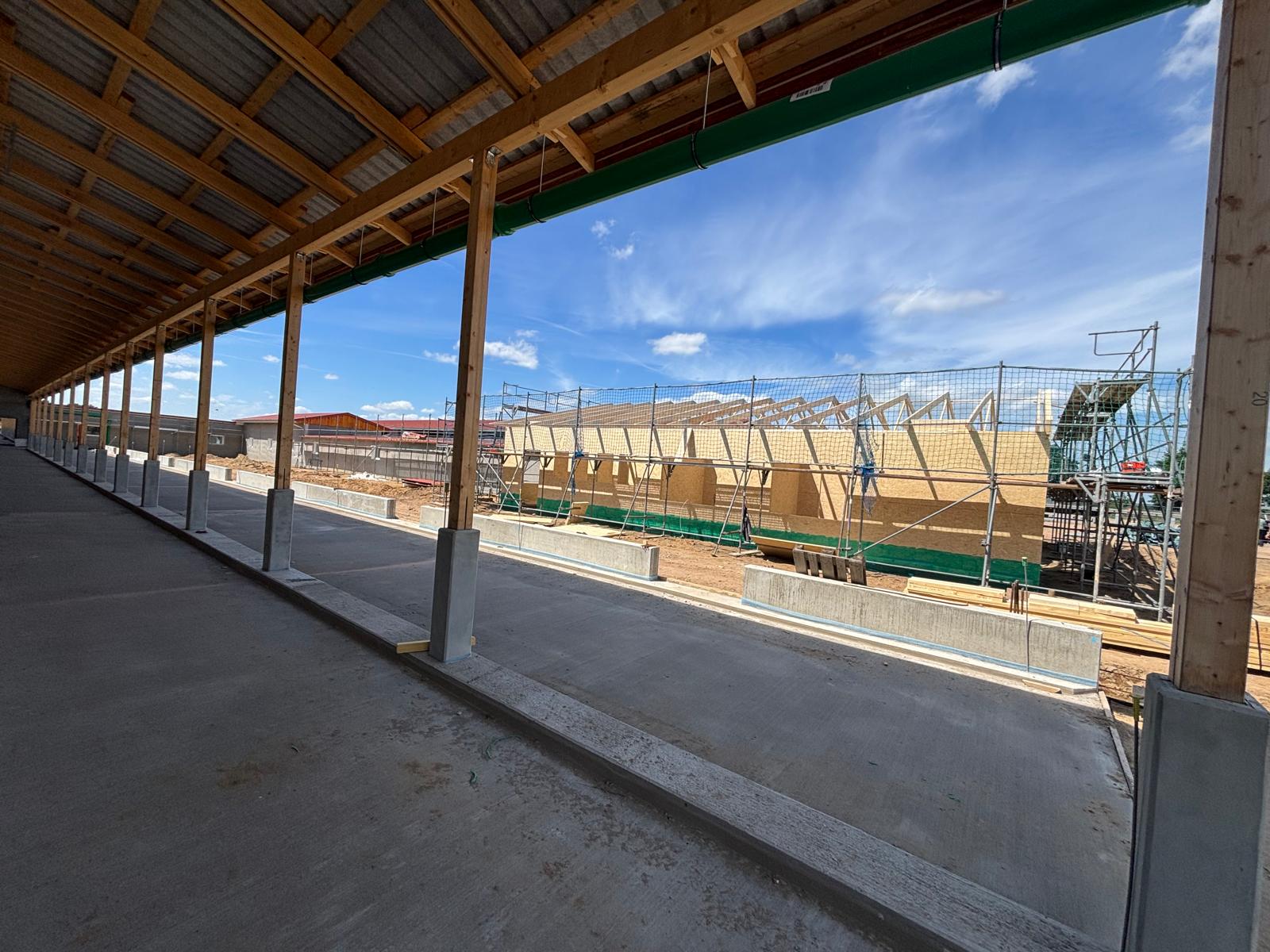 Überdachter Laufgang mit Holzkonstruktion, Blick auf Stallhalle im Bau